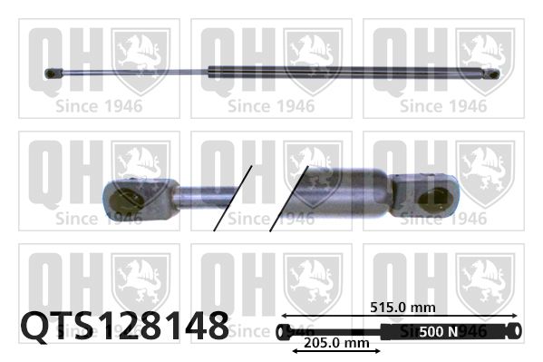 QUINTON HAZELL Kaasujousi, tavaratila QTS128148